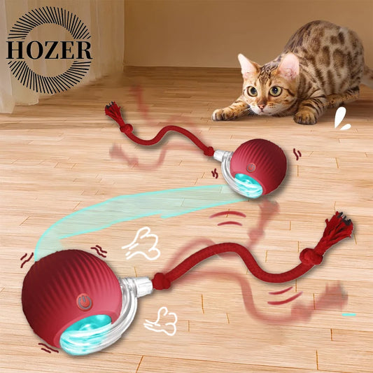 Cat Interactive Toy Ball